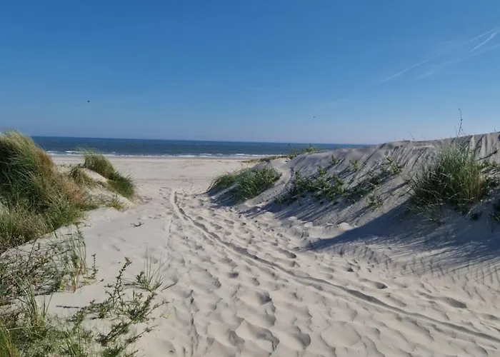 Chalet 304 Insel Ameland