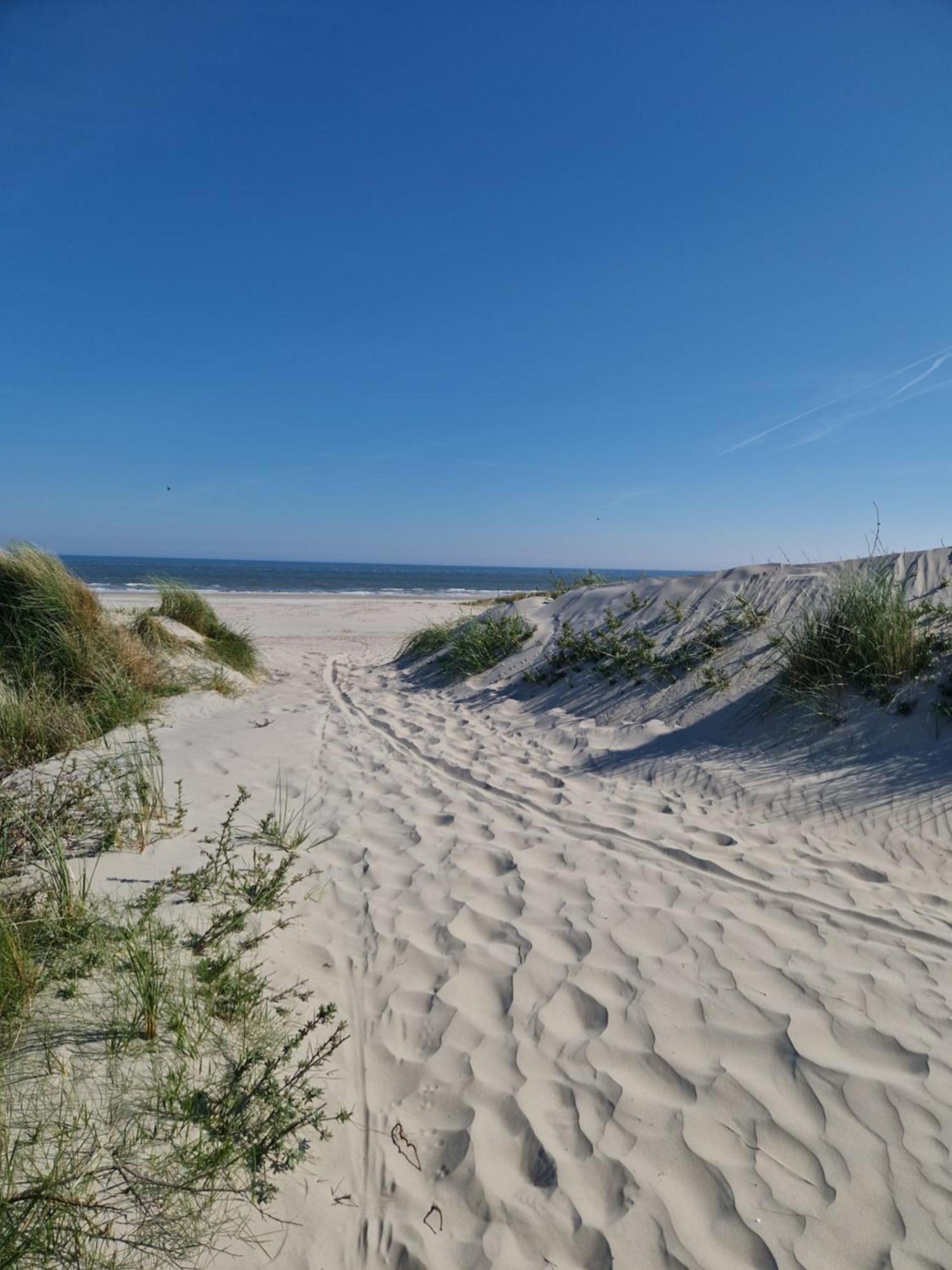 304 Insel Ameland *