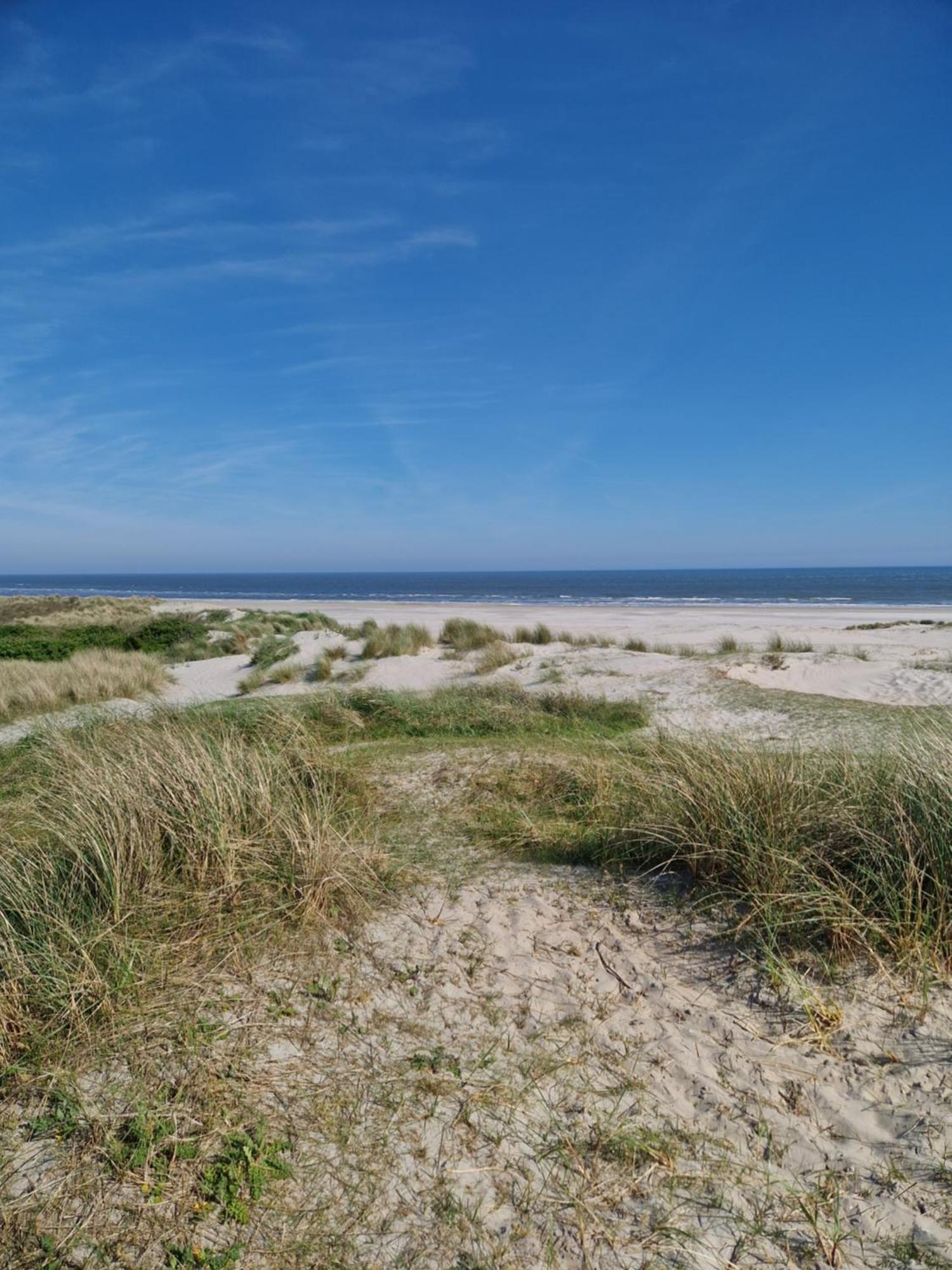 304 Insel Ameland *